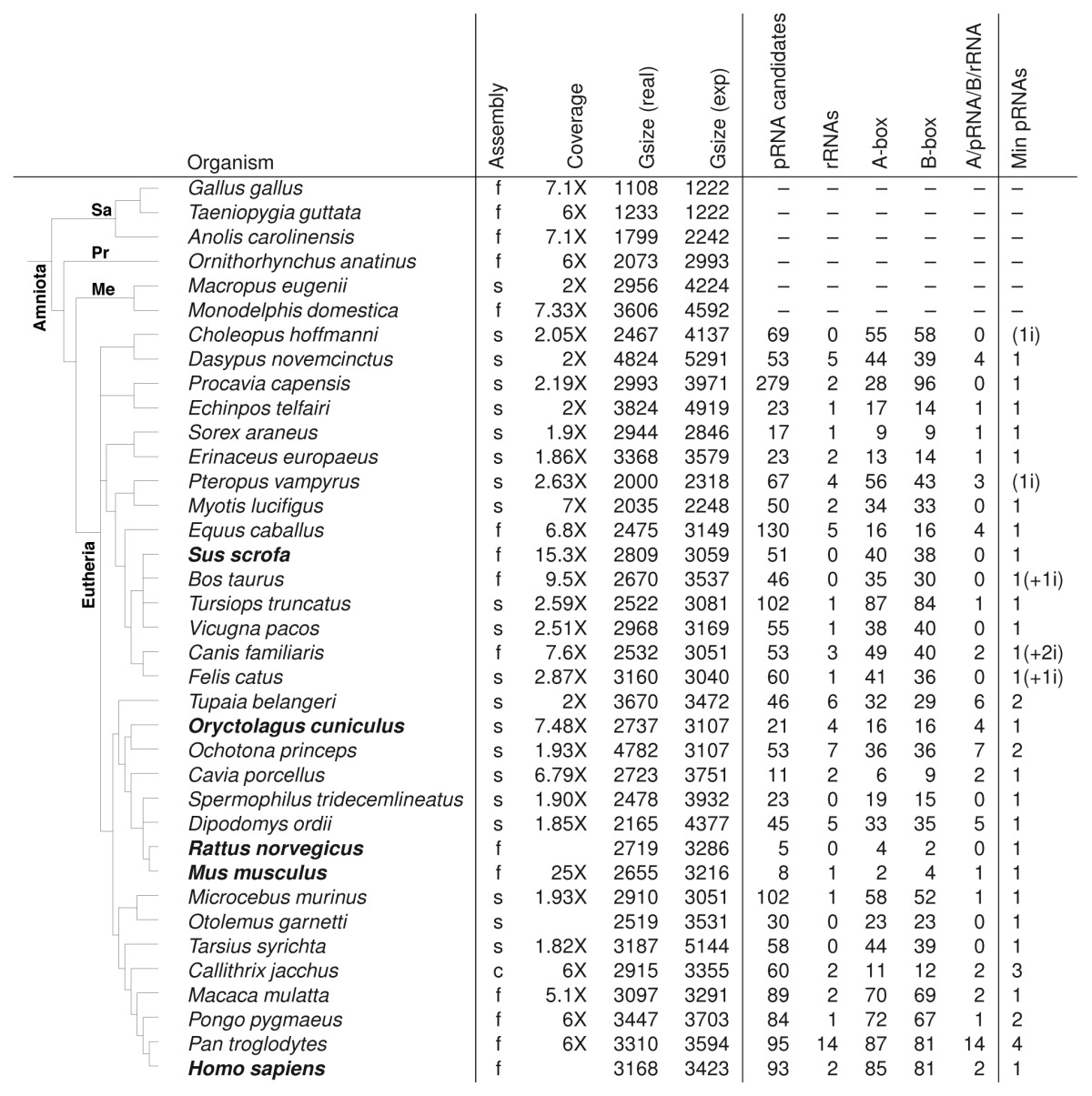 graphic file with name rna-11-3-t1.jpg