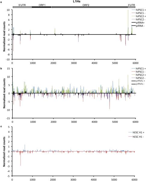 Extended Data Figure 7