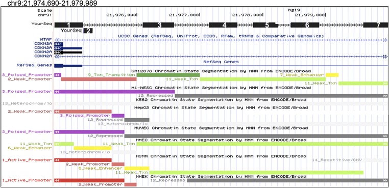 Figure 3—figure supplement 2.