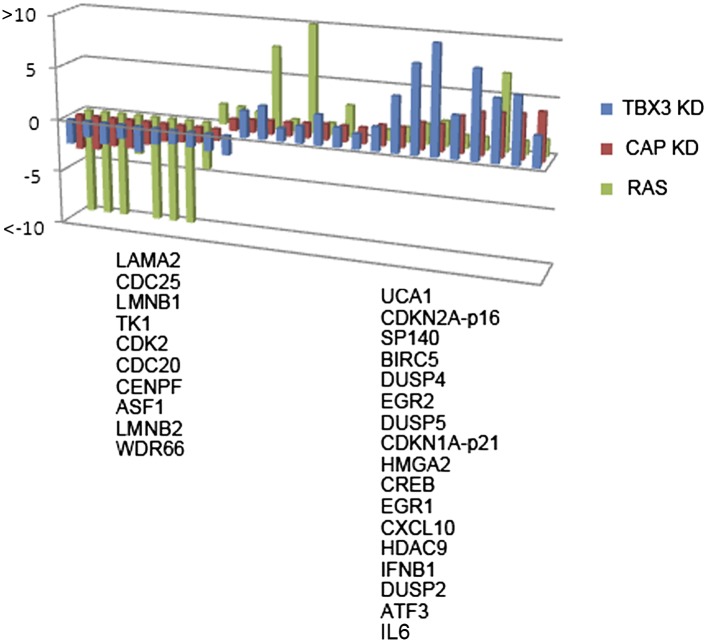 Figure 7—figure supplement 3.