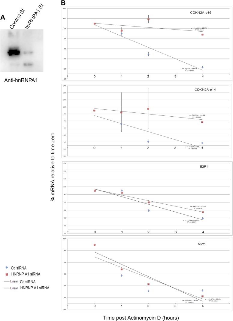 Figure 6—figure supplement 3.