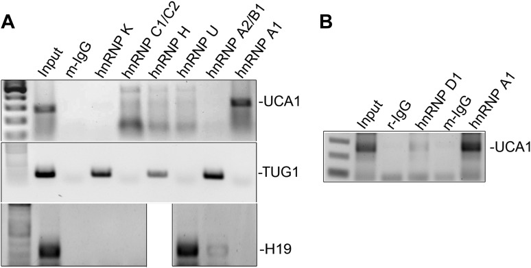 Figure 6—figure supplement 5.