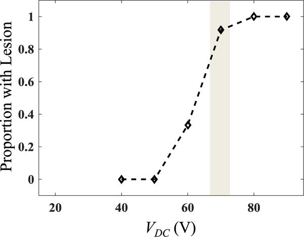 Fig. 12