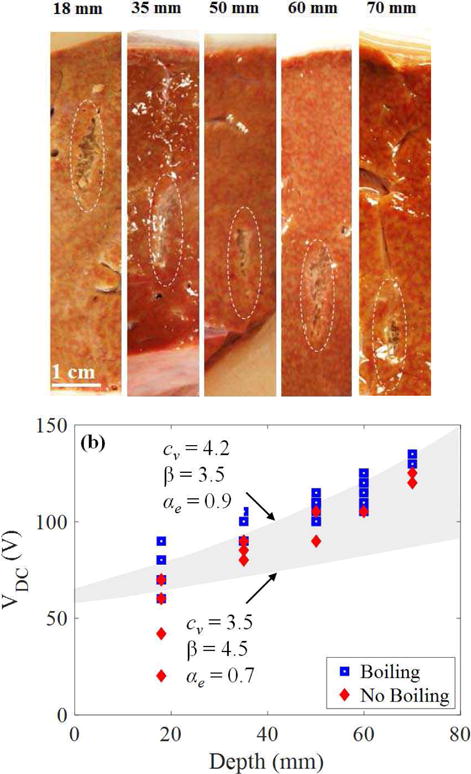 Fig. 13