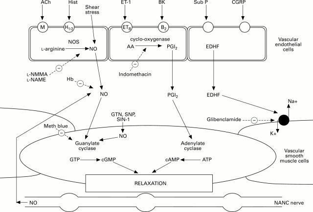 Figure 1  