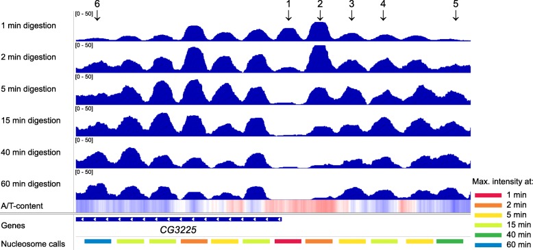 Fig. 3