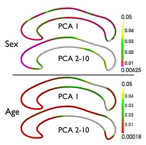 Fig. 12