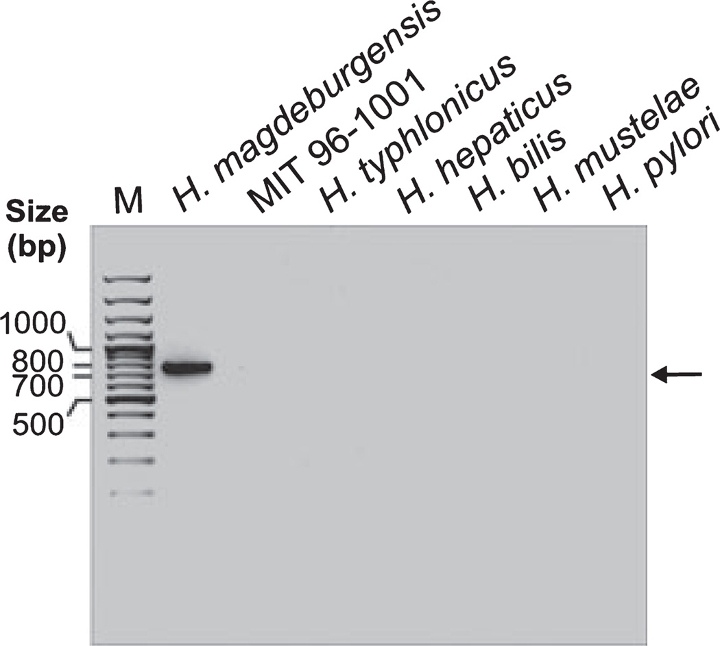 Figure 7