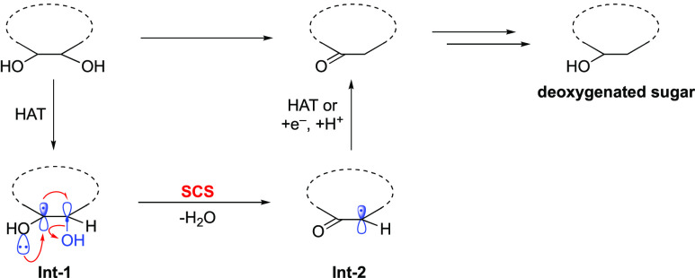 Scheme 2