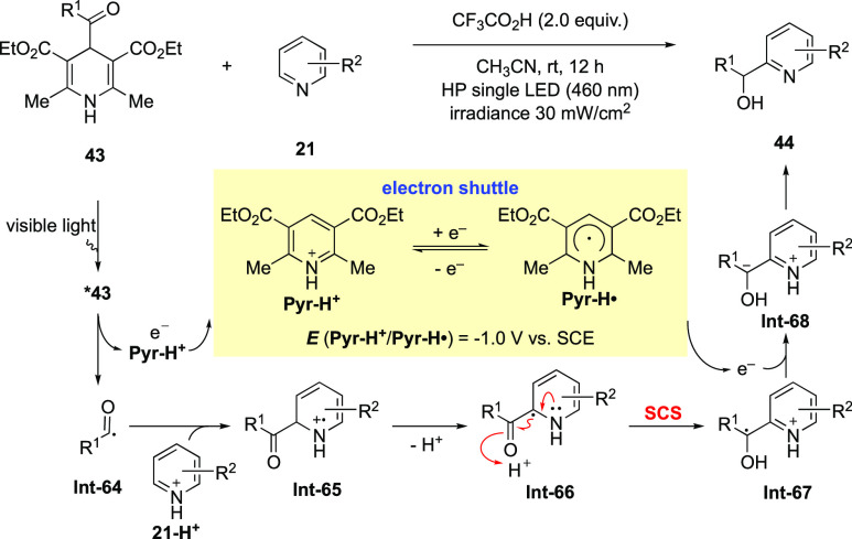 Scheme 18