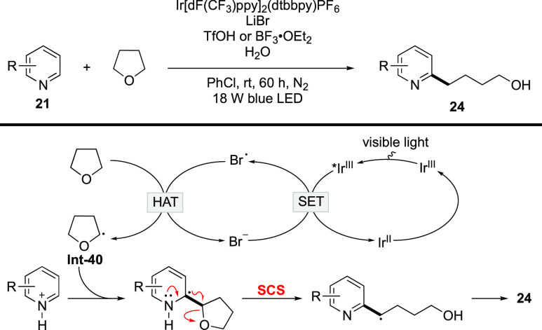 Scheme 11