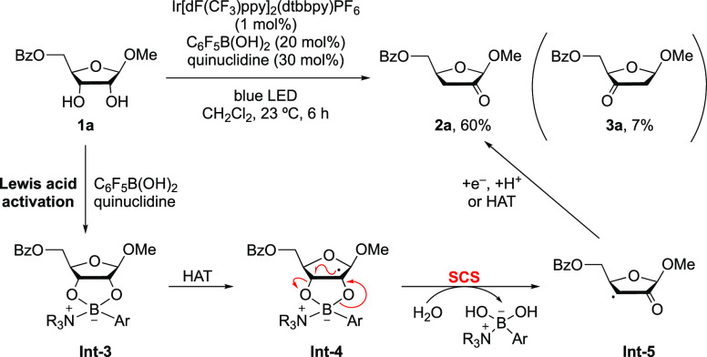 Scheme 3