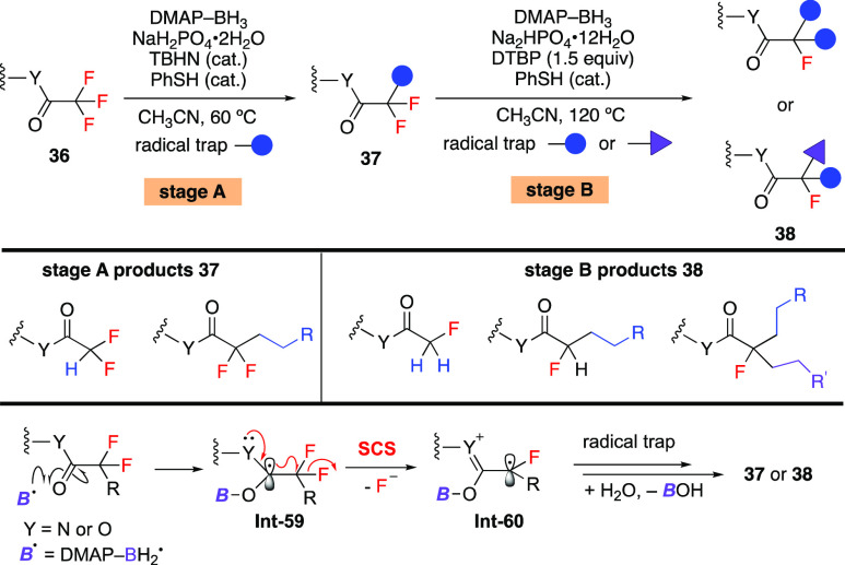 Scheme 16