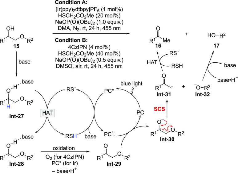 Scheme 8