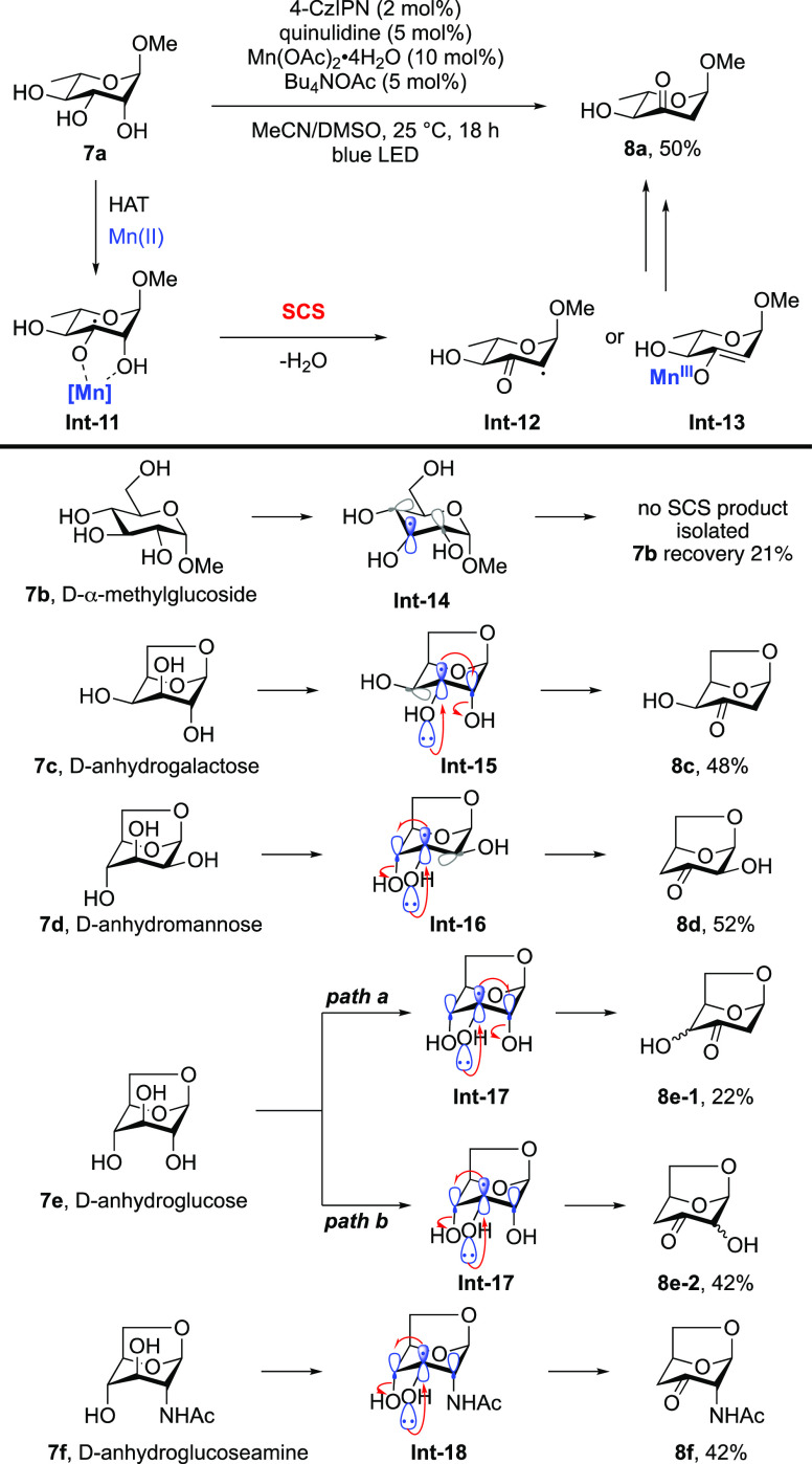 Scheme 5