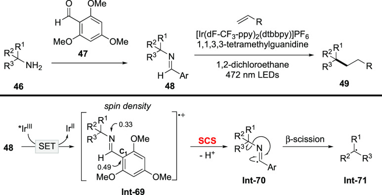 Scheme 20