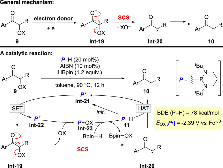 Scheme 6