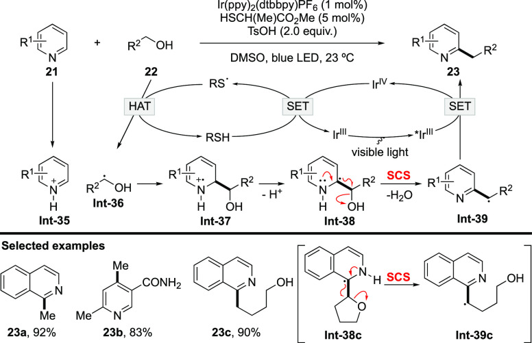 Scheme 10