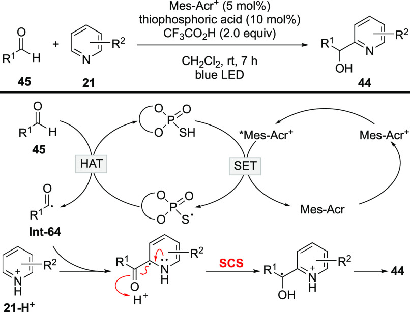 Scheme 19