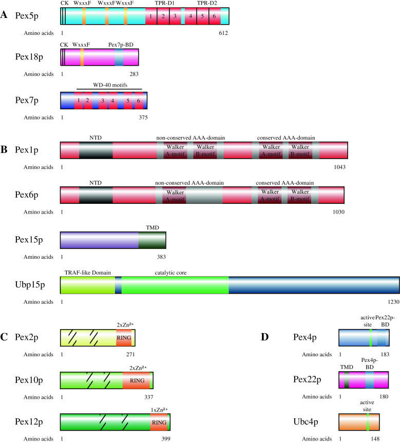 Fig. 2