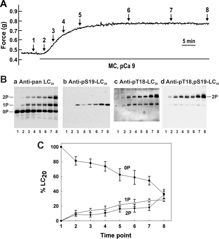 FIGURE 1.