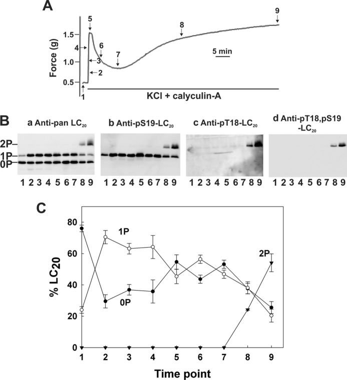 FIGURE 7.