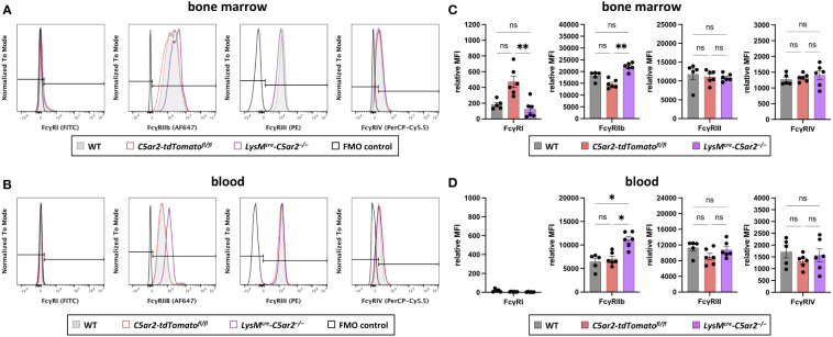 Figure 4