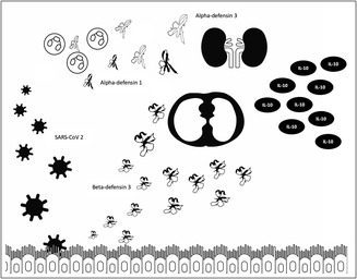 graphic file with name PHY2-12-e15945-g004.jpg