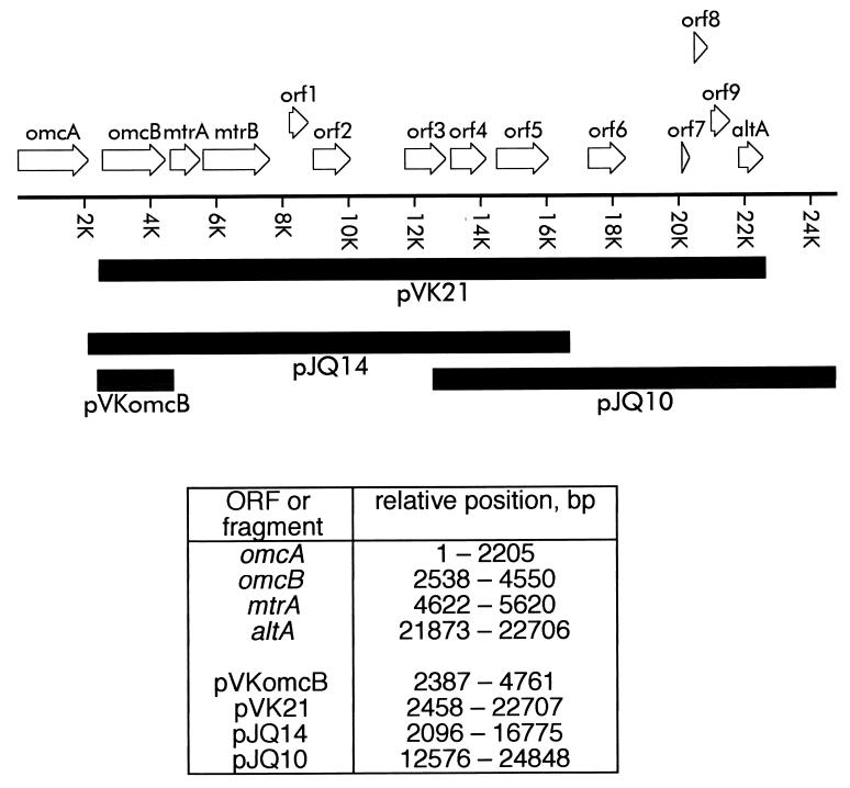 FIG. 2.