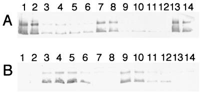 FIG. 8.