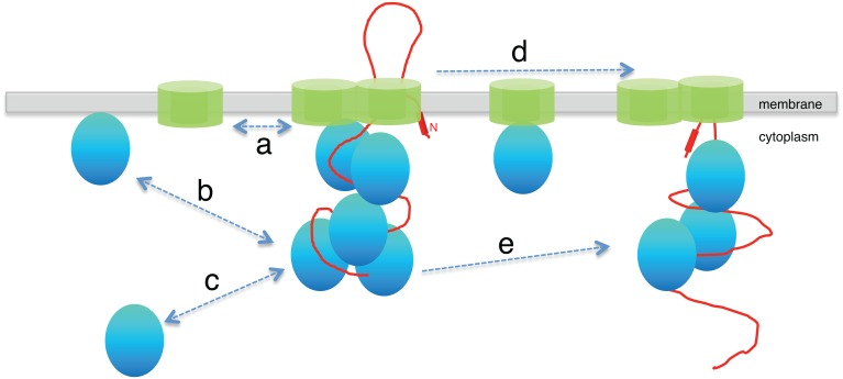 Fig 5