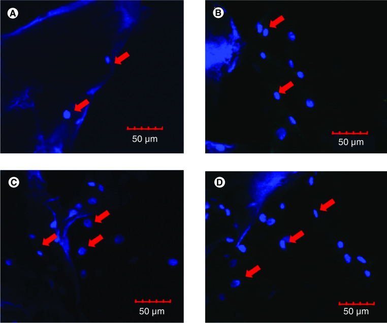 Figure 4. 