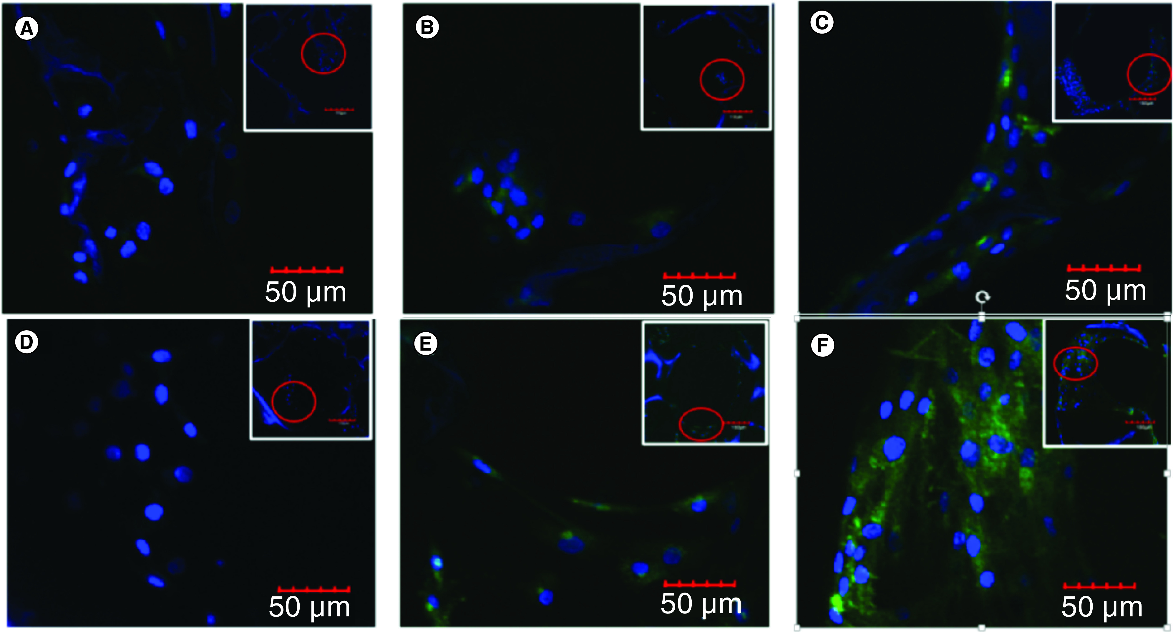 Figure 6. 