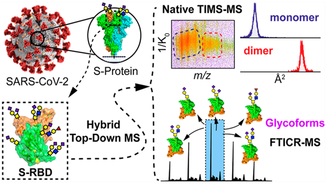 graphic file with name nihms-1729574-f0001.jpg