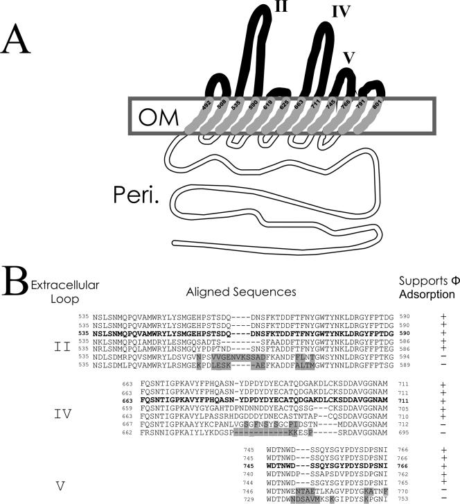 FIG. 7.