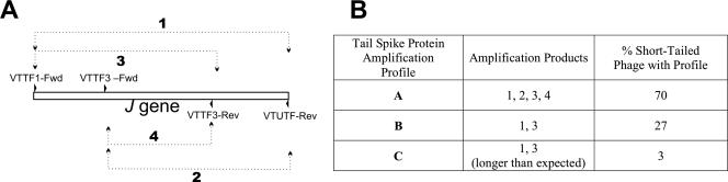 FIG. 8.