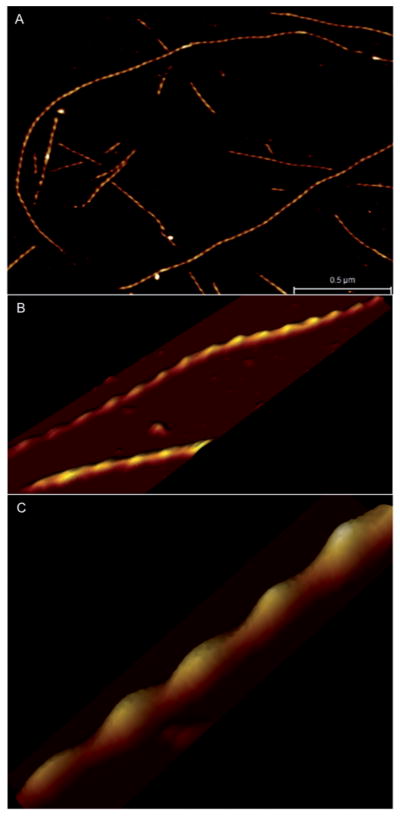 Fig. 7