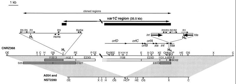 FIG. 1