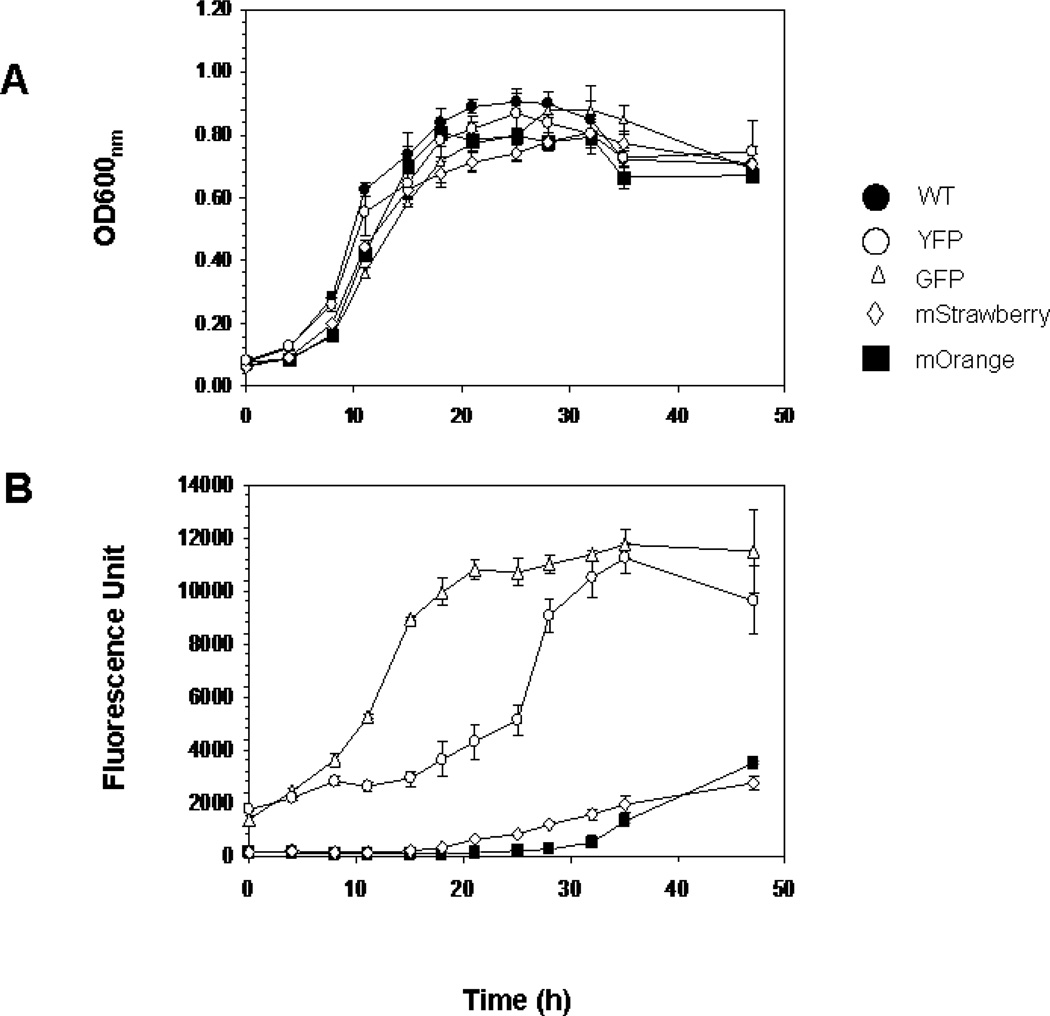 FIG. 4