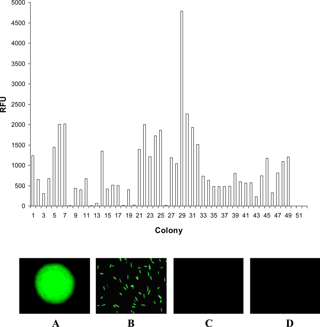 FIG. 1