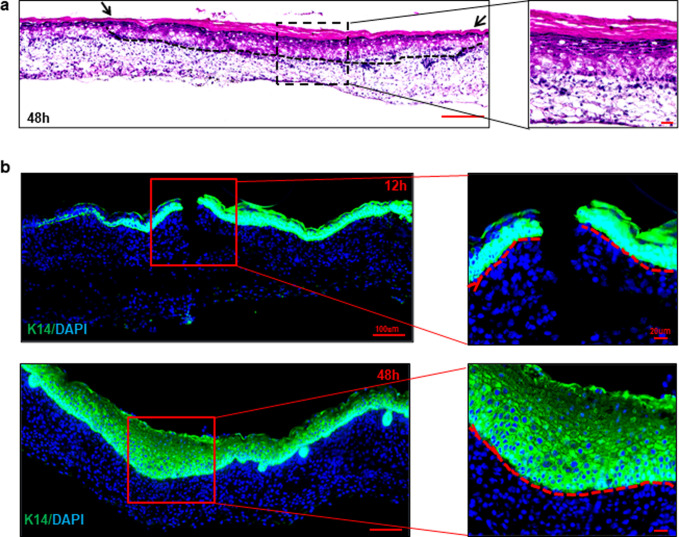 Fig 3