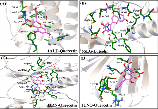 Figure 12