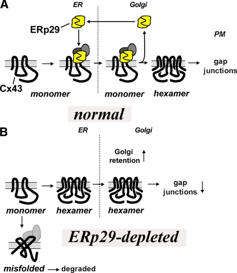 Figure 9.