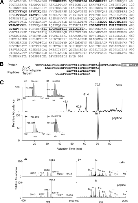 FIGURE 1.