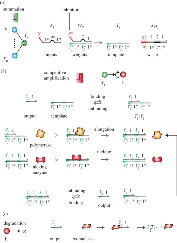 Figure 2.