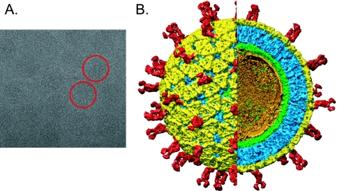 FIG. 1.