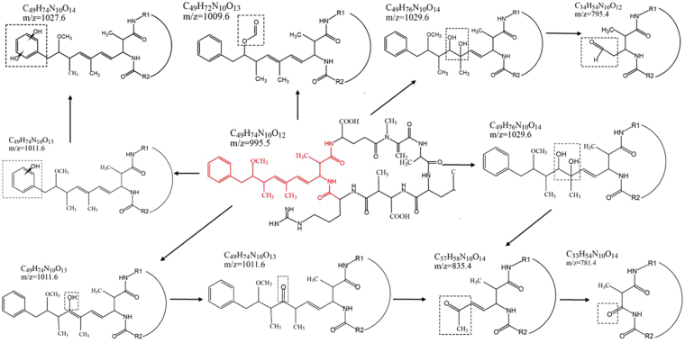 Figure 7