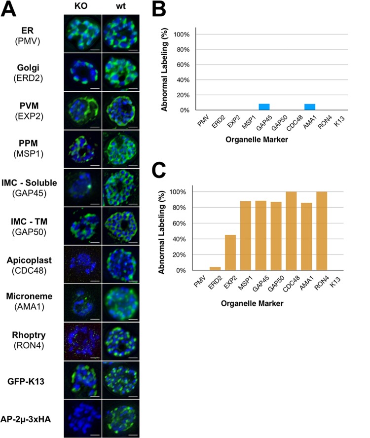 FIG 3