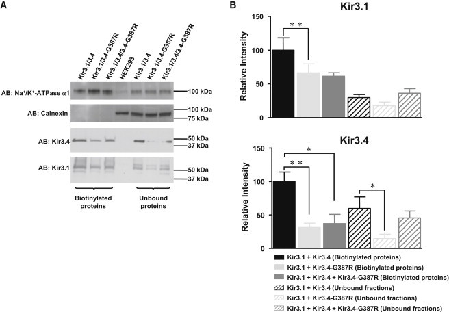 Figure 4