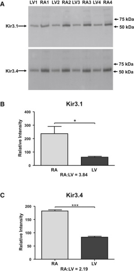 Figure 5